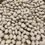 Erzurum İspir Fasulyesi 1kg